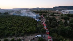 Bursa'da çiftlik alev alev yandı: Olay yeri dron ile görüntülendi