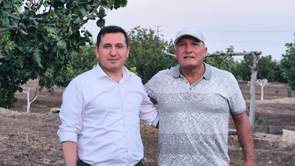 Fıstık ve Ceviz Bahçelerinde İnceleme