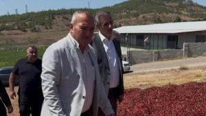 AK Parti’den Musabeyli’de Biber Üretimine Ziyaret