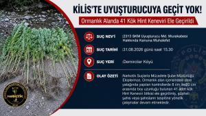 Demirciler Köyü’nde 41 Kök Hint Keneviri Ele Geçirildi