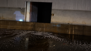 Kilis OSB’de Bay Tekstil Fabrikası’nda Yangın