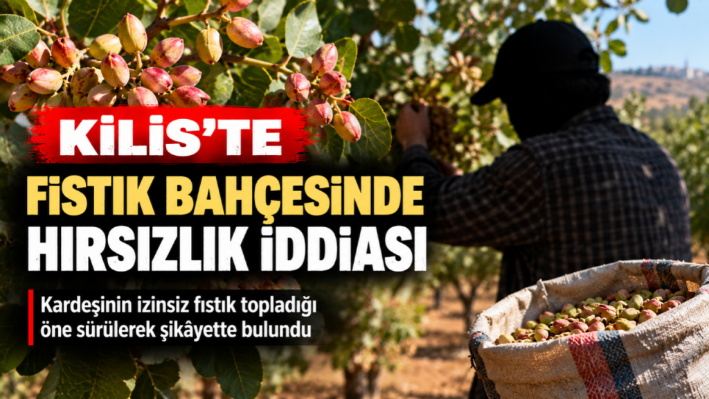 Kilis’te Fıstık Bahçesinde Hırsızlık İddiası