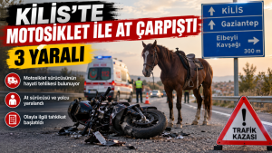 Kilis’te Motosiklet ile At Çarpıştı: 3 Yaralı