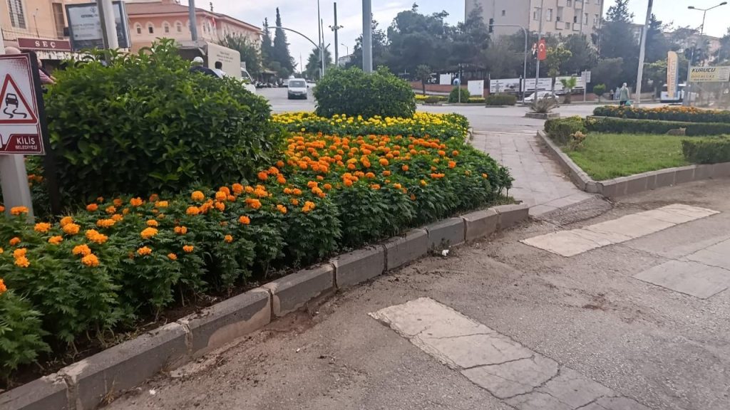 Refüjler Rengârenk Çiçekler ve Süs Ağaçlarıyla Donatılıyor