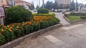 Refüjler Rengârenk Çiçekler ve Süs Ağaçlarıyla Donatılıyor